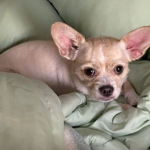 Meet your Posher, Marian